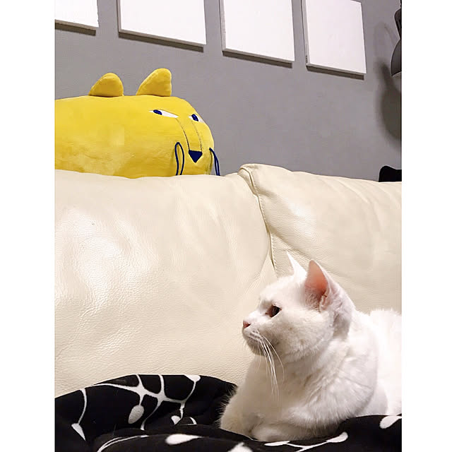 nyanko-beamさんの実例写真