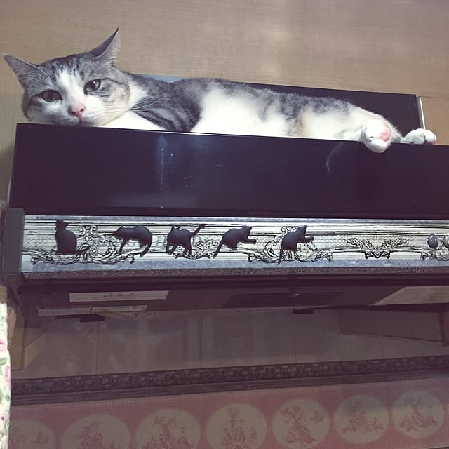 emmyyさんの実例写真