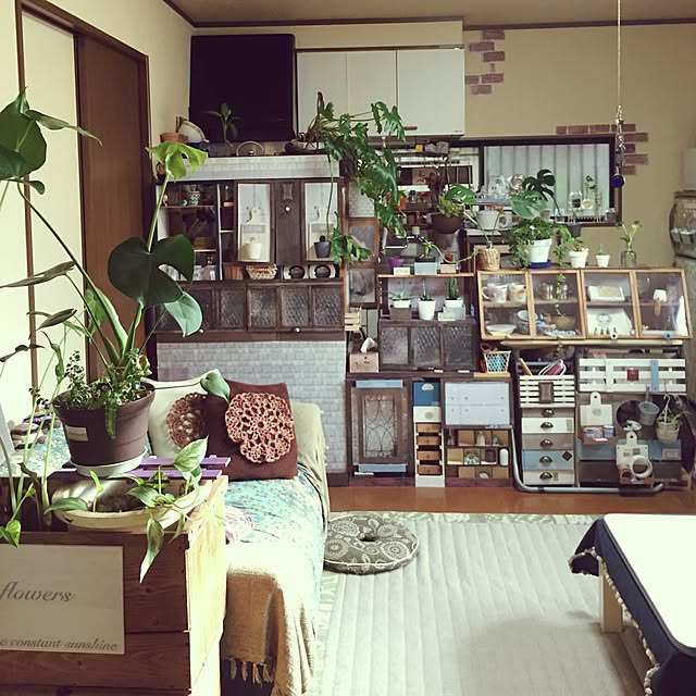 Norikoさんの実例写真