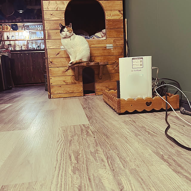 puku.meruさんの部屋