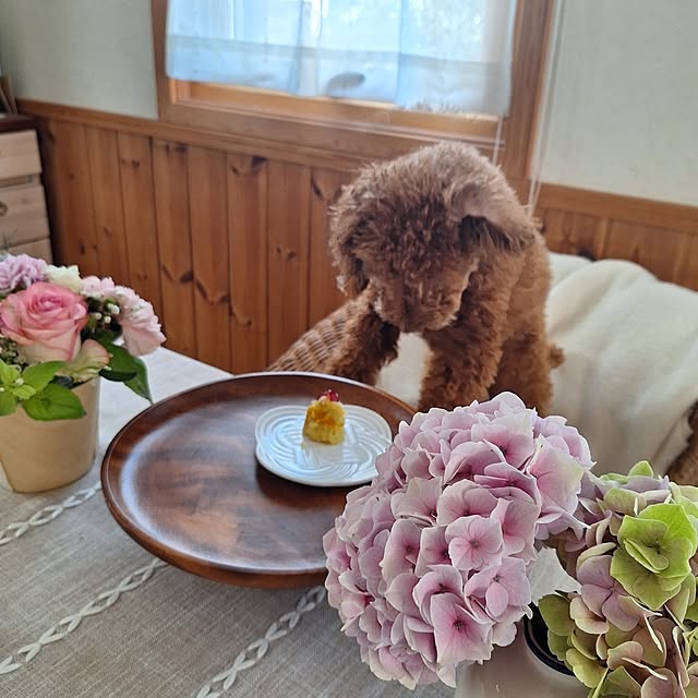 Blancheさんの部屋