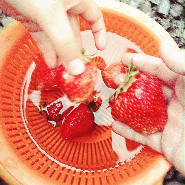 Hiroeさんの実例写真