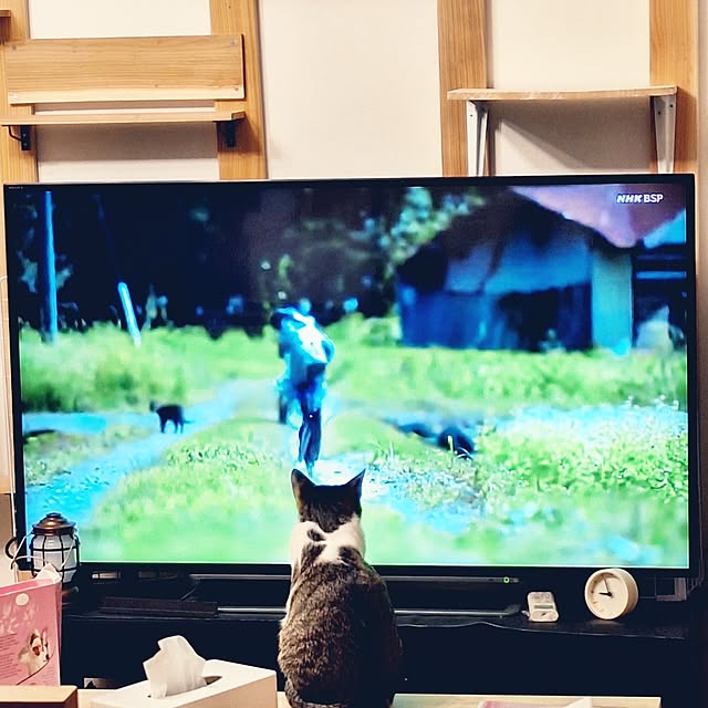 akimameさんの実例写真