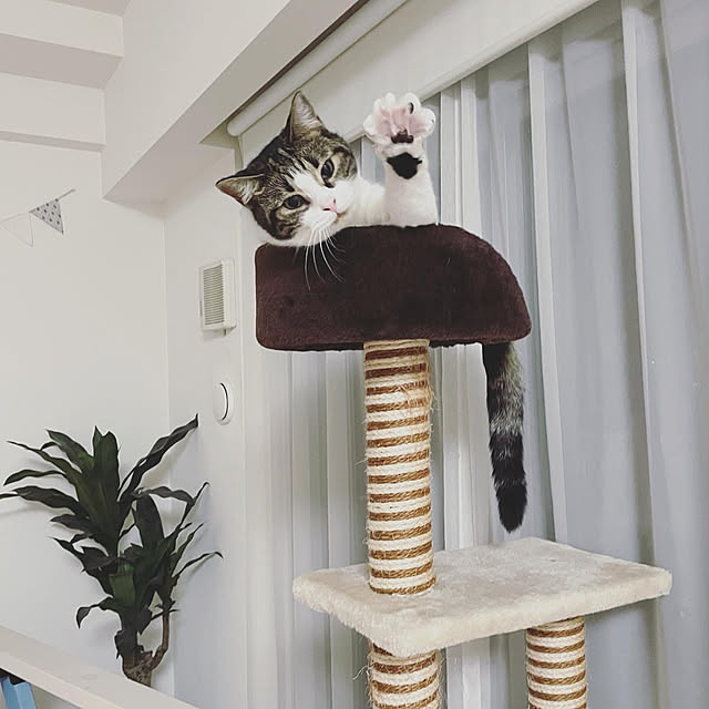 hemukoさんの実例写真
