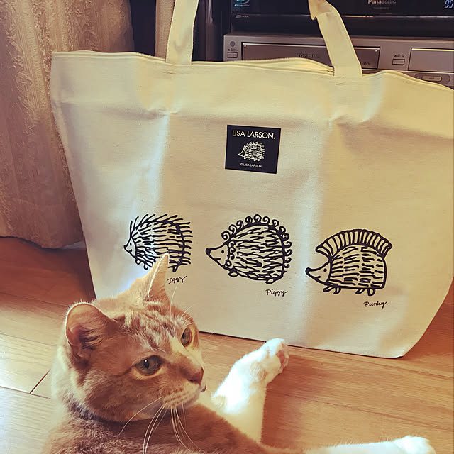 lavie0125さんの実例写真