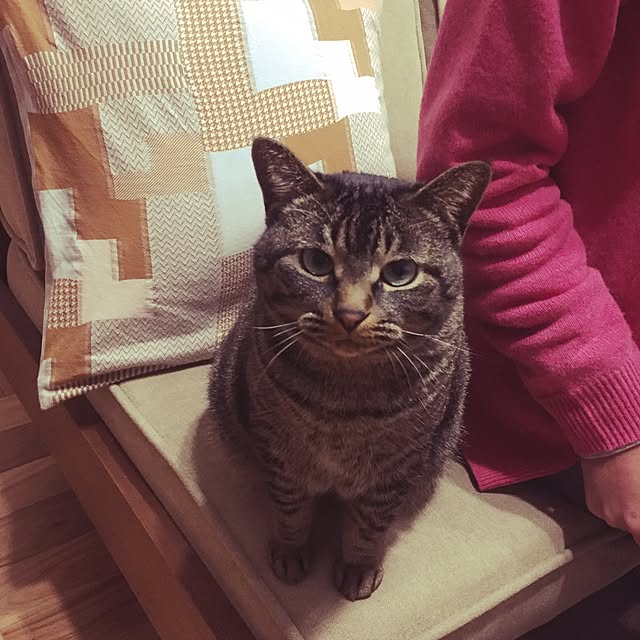 momi_momieさんの実例写真