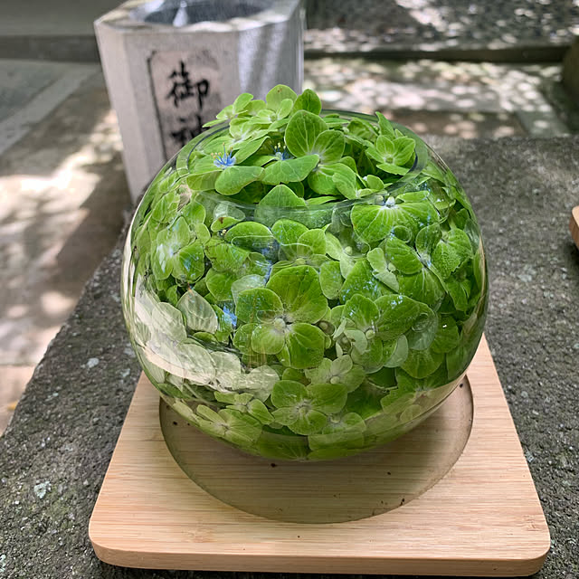 aureaさんの実例写真