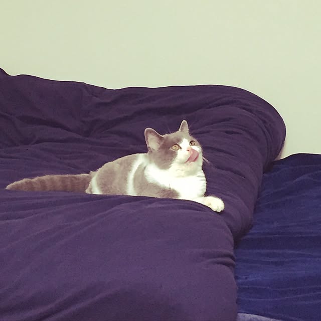 Yuriさんの実例写真