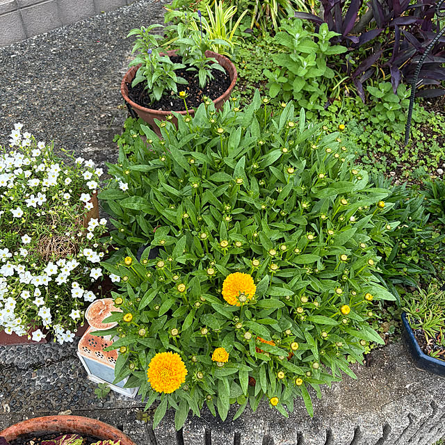 ritsukoさんの部屋