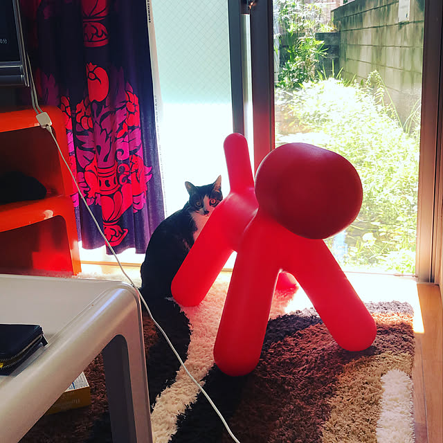 maruhakuchiさんの実例写真