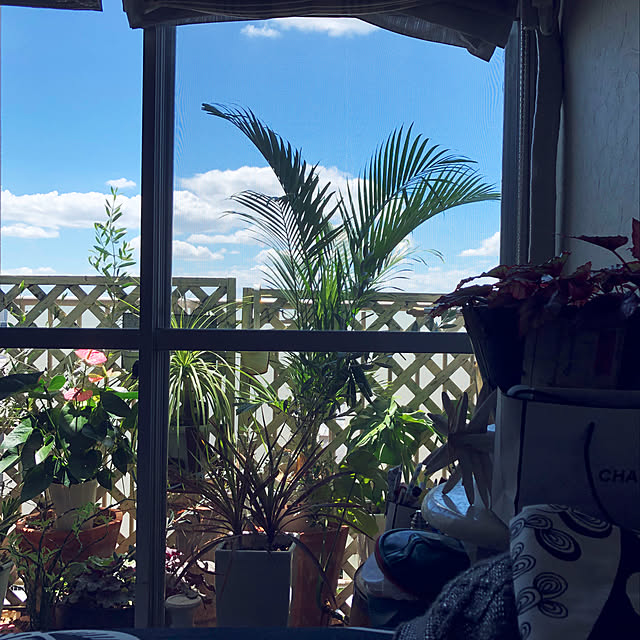 ibiza8hippie8さんの実例写真