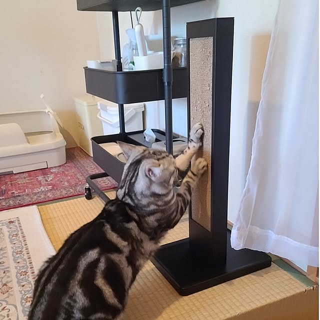 lovepeaceさんの実例写真
