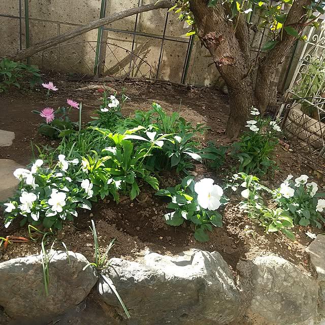 uzuraramanさんの実例写真