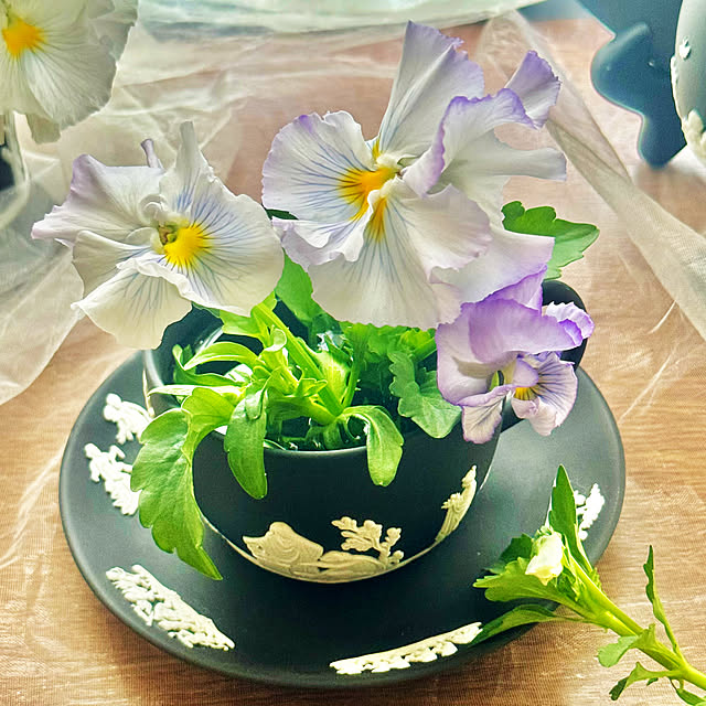cocoさんの部屋