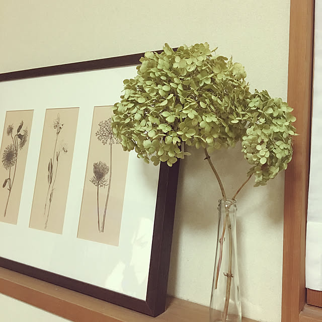 indigoさんの実例写真