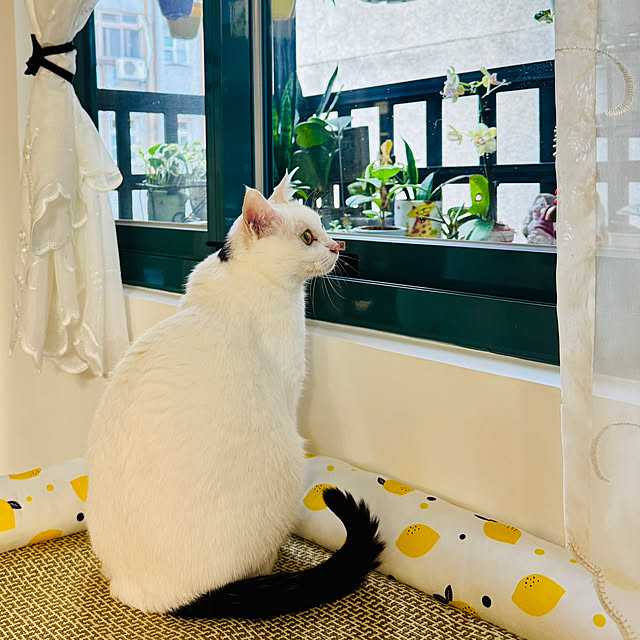 pcu110さんの実例写真