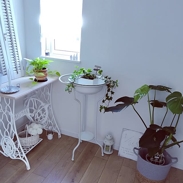 a.roseさんの部屋
