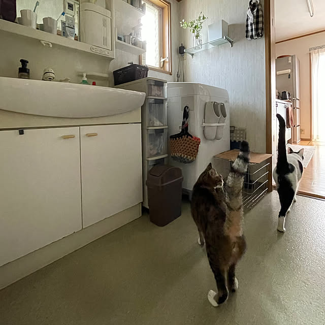 nobikoさんの部屋