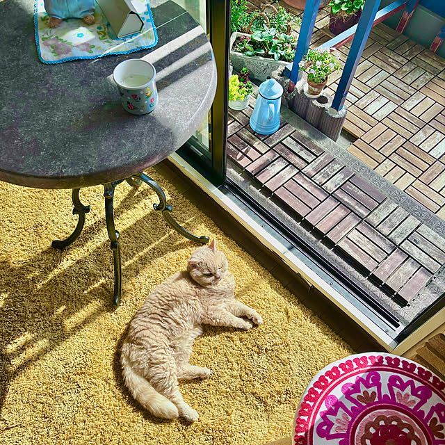 naokoさんの部屋