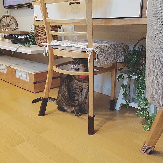 lovecatさんの実例写真