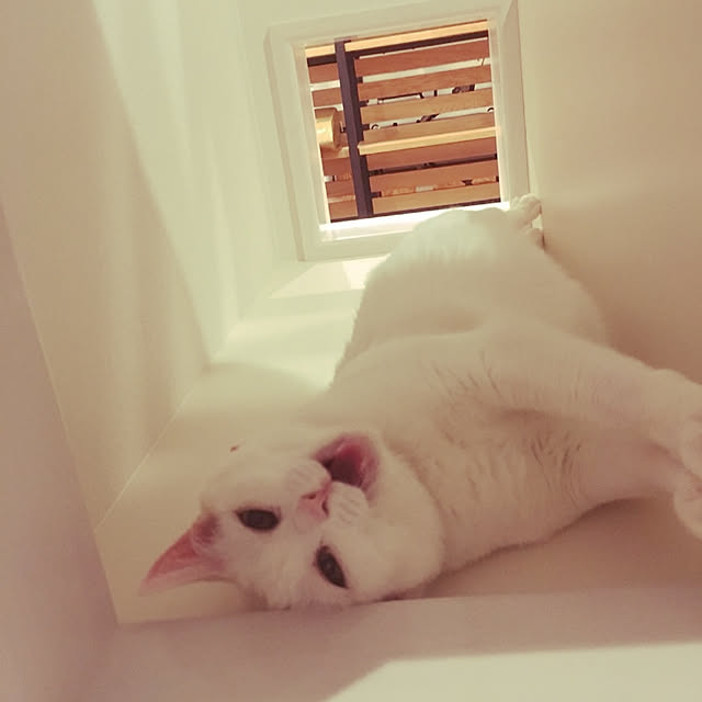 karenさんの実例写真