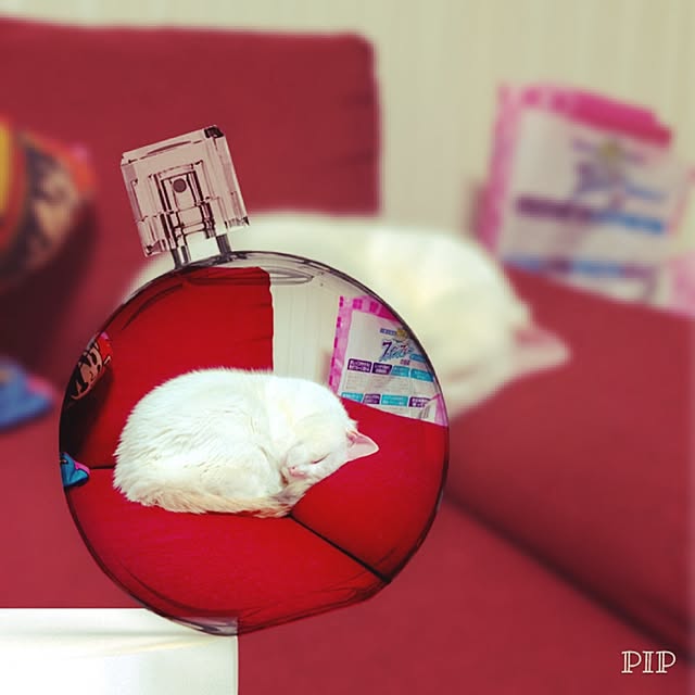 hiro_mashさんの実例写真