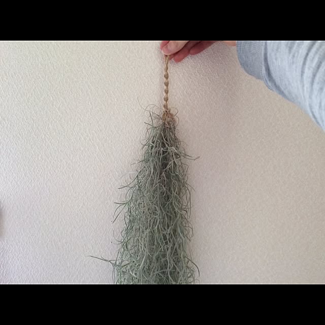 L.さんの実例写真