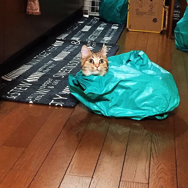 keibooさんの実例写真