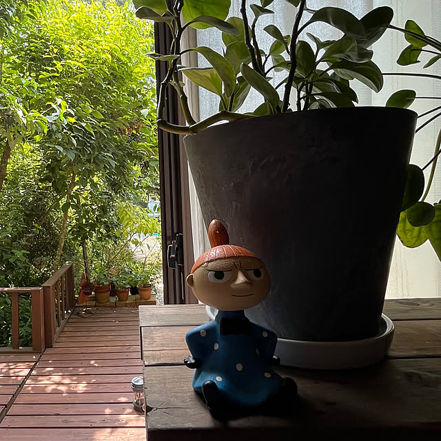 cotaさんの部屋