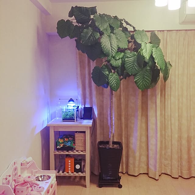 cherryさんの実例写真