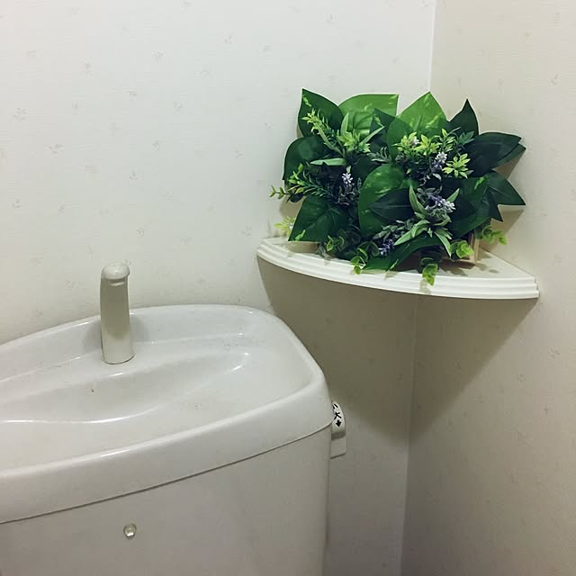 peach.810さんの実例写真