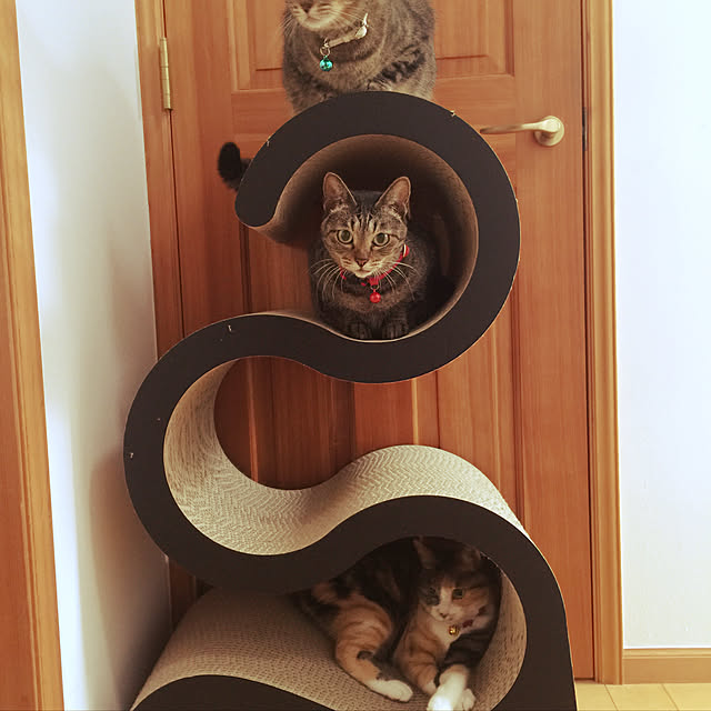 beemerさんの実例写真