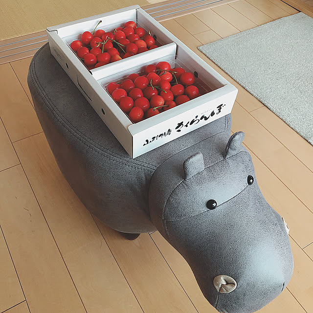 mangoさんの実例写真
