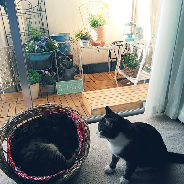 Rabbitさんの実例写真