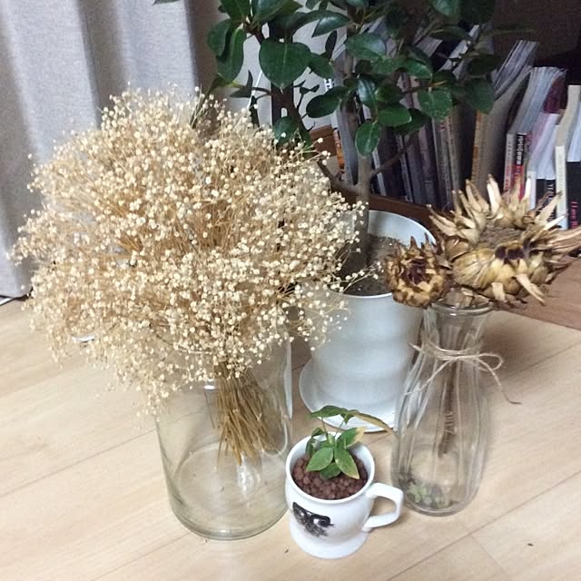 kiyomiさんの実例写真