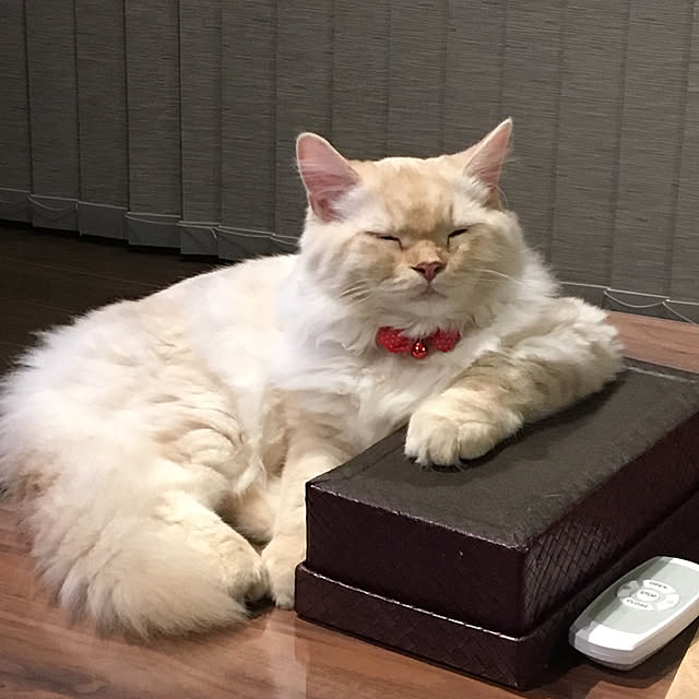 takiさんの実例写真