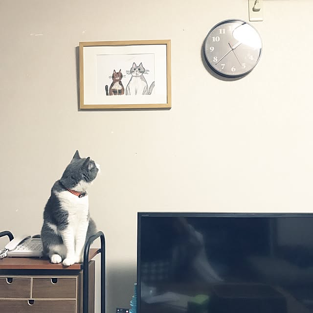 hacchiさんの実例写真