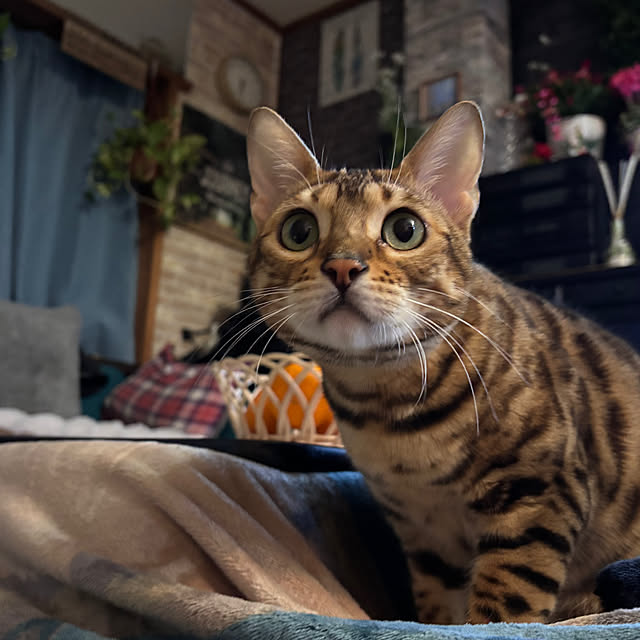 tututu0204さんの部屋