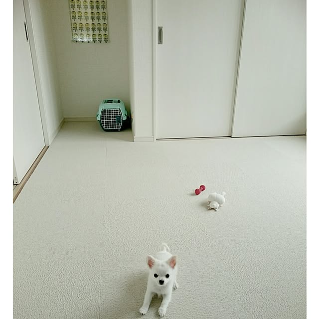 cherryさんの実例写真