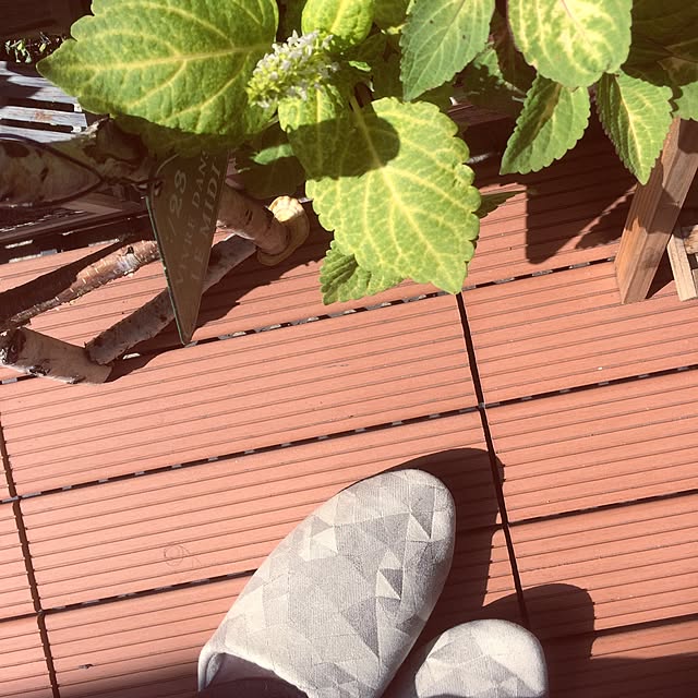 tomoさんの実例写真