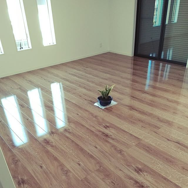 studiomaguさんの実例写真