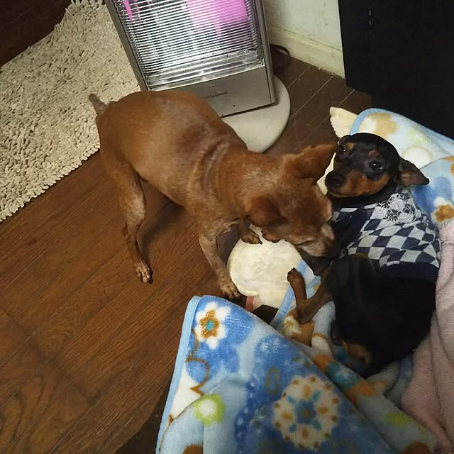 4-3さんの実例写真