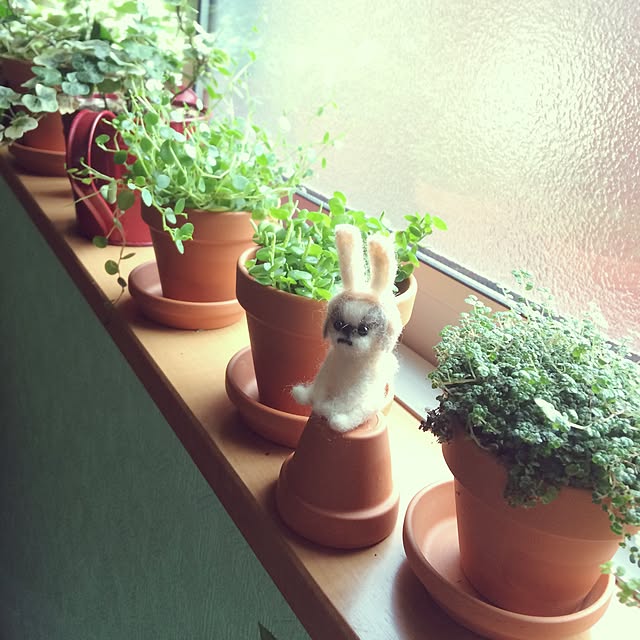 ANNAさんの実例写真