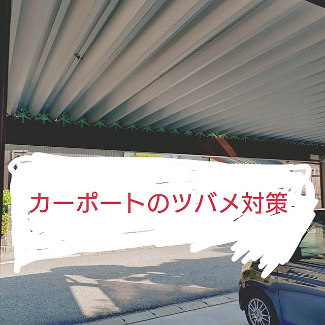ameamekaasanさんの実例写真