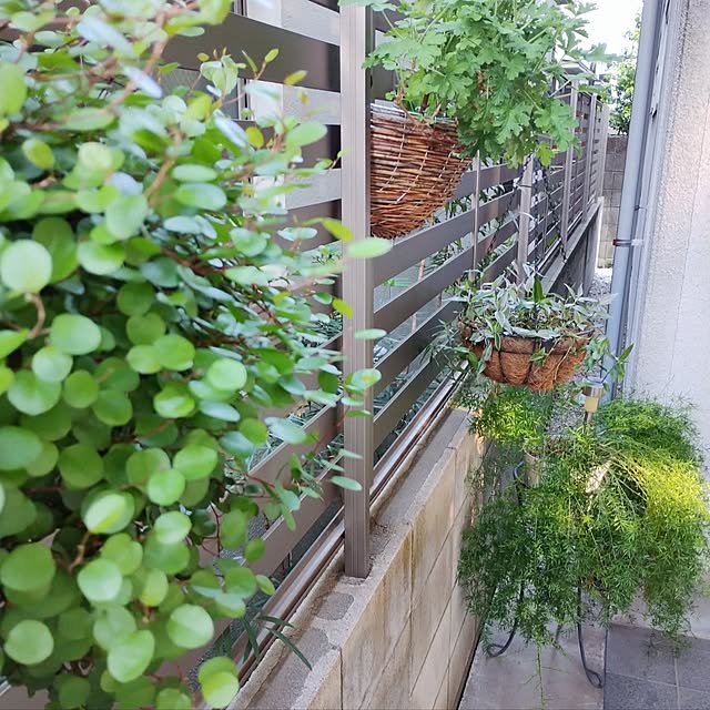 jinさんの部屋