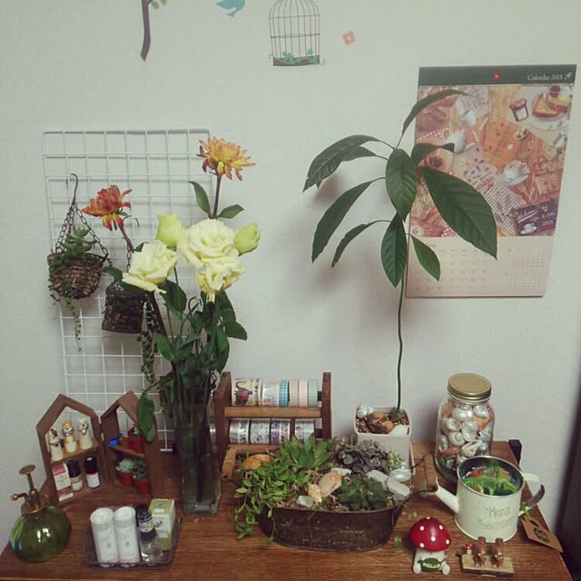 Ariyaさんの実例写真