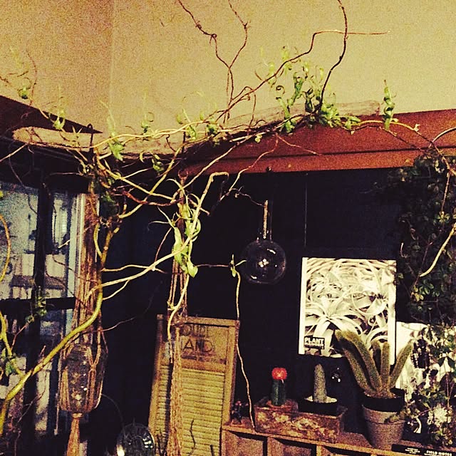 edenさんの実例写真