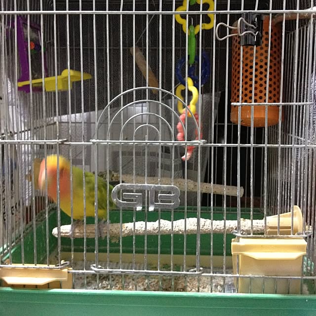 chuntahouseさんの実例写真