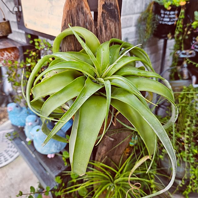 mocomocoさんの部屋