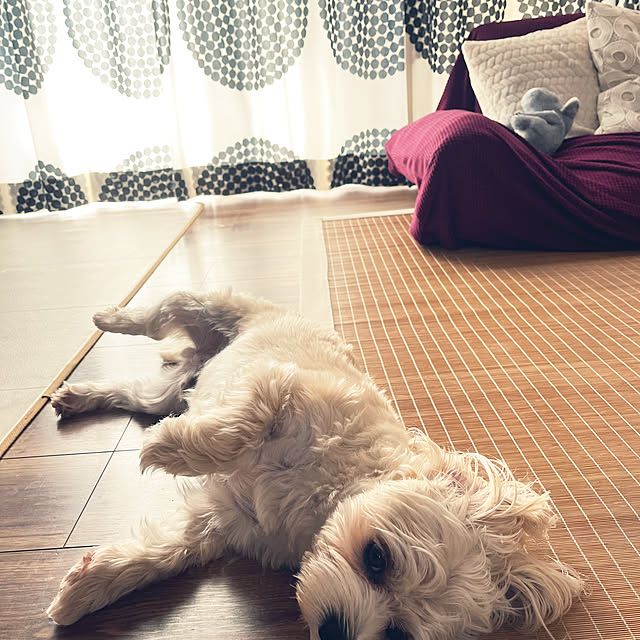 seiさんの部屋